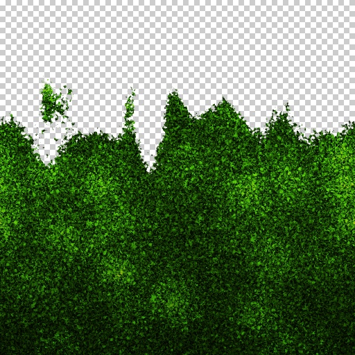 Variation 4