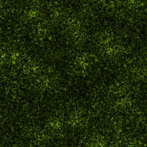 Variation 5