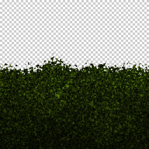 Hedge (Texture)