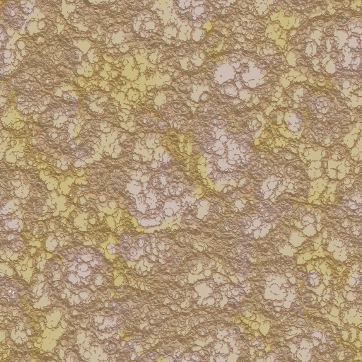 Variation 4