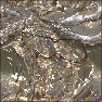 Alien Rock Metal 3 by Ronjonie