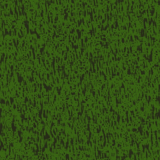 Diffuse Map