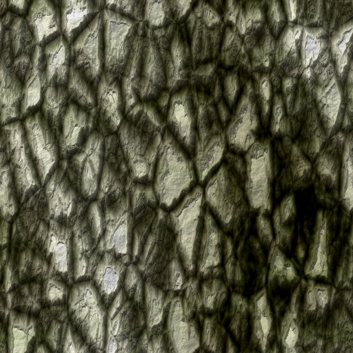 Variation 5
