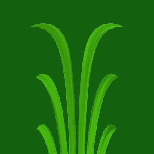 Diffuse Map