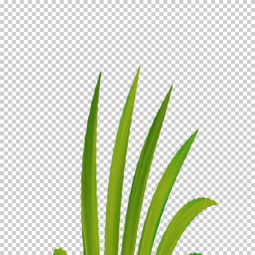 Variation 4