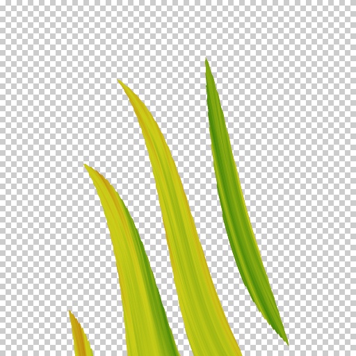 Variation 7