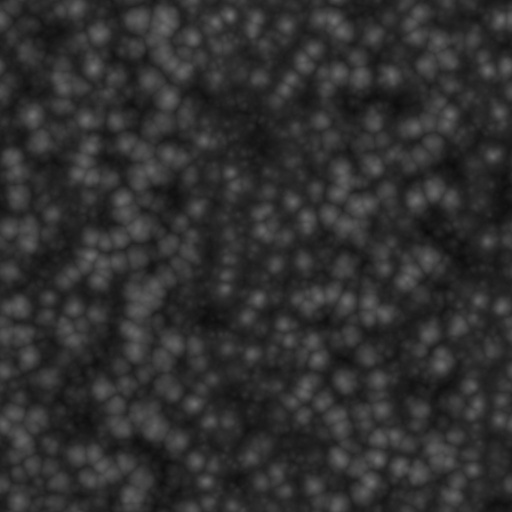 Bump Map