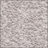 sun-bleached gravel