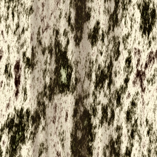 Diffuse Map