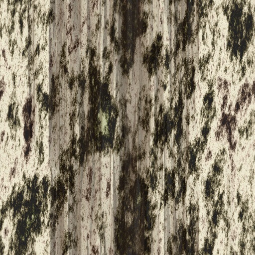 bark (Texture)