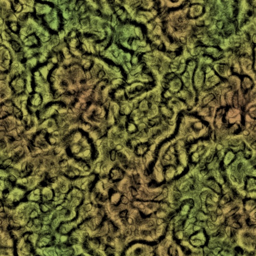 Diffuse Map