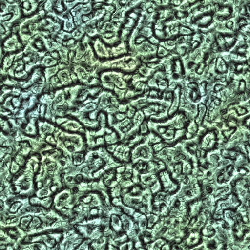 Variation 3