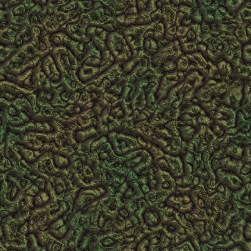 Variation 5