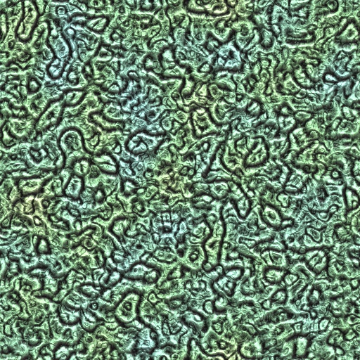 Variation 8