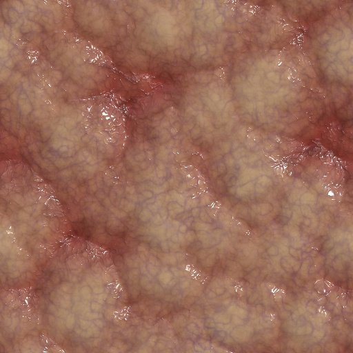 Veiny flesh (Texture)