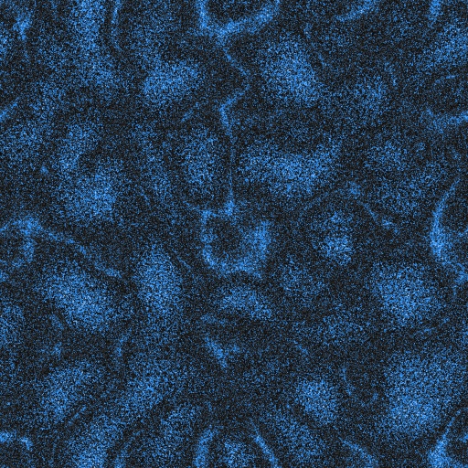 Variation 5