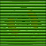 Blind_Persiana