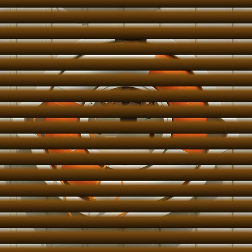 Variation 4