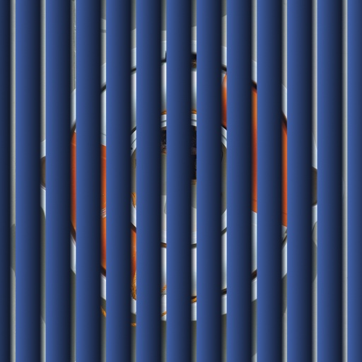 Variation 6