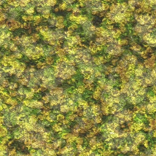 Variation 6