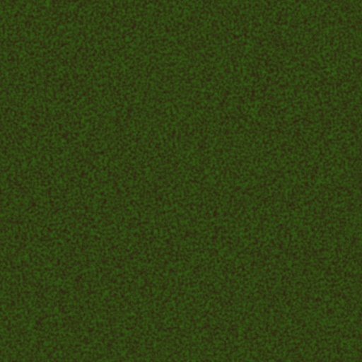 Moss (Texture)