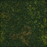 rolling grassy hills