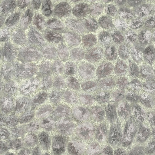 Diffuse Map