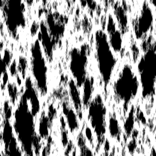 Bump Map