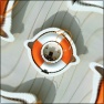 Rotate Distort