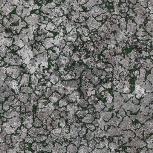 Diffuse Map