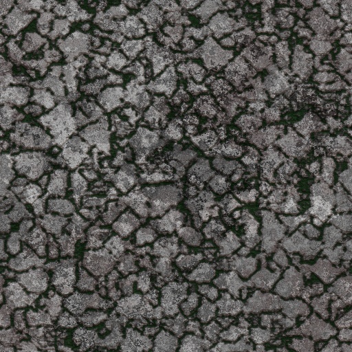 cracked stone surface (Texture)