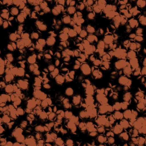 Variation 2