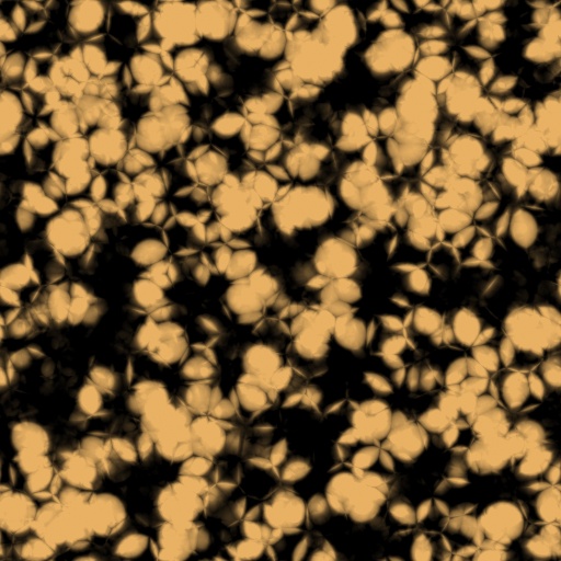 Variation 7