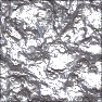 Texture Generator