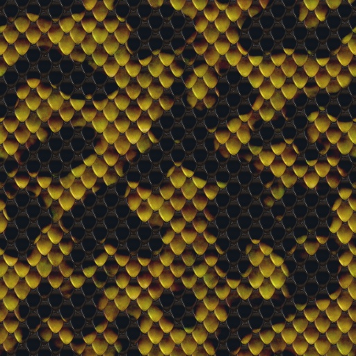 Variation 8