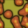 Cell Slide Primary