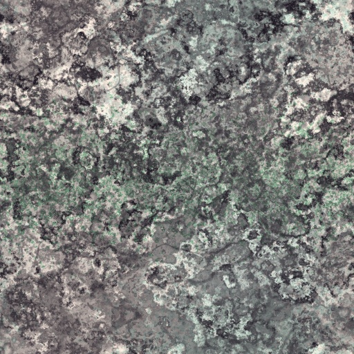 Variation 6