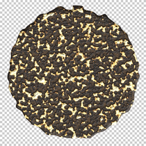 Variation 4