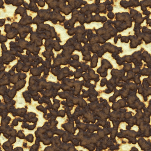 Variation 7