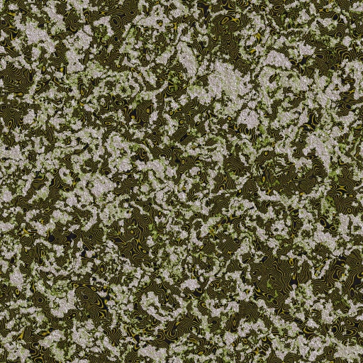 Variation 7