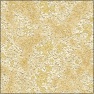 moldy stucco