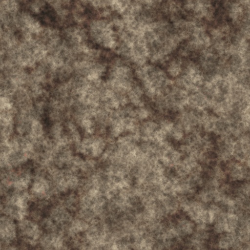 Diffuse Map
