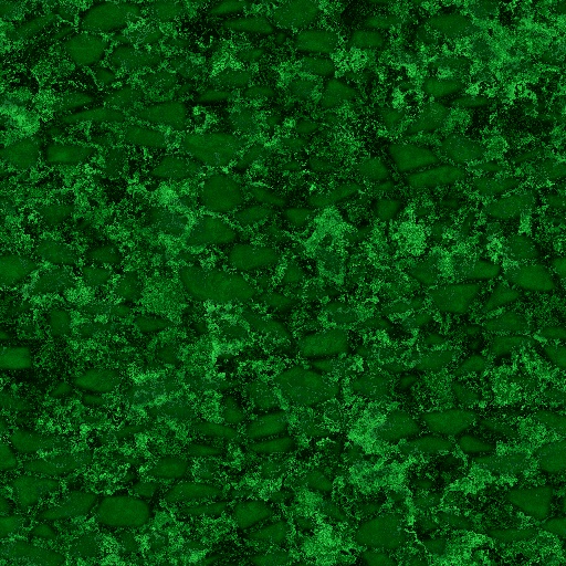 Variation 6