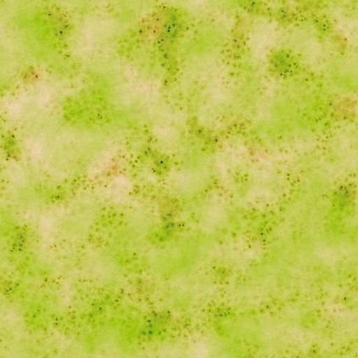 Variation 3