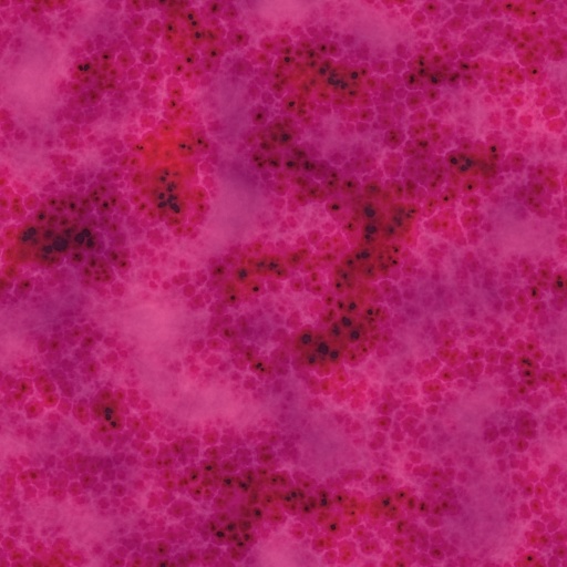 Variation 7