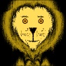 Safari  (Lions Tigers And Bears)