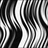 Zebra-ish