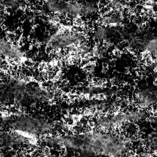 Marble It (Texture)
