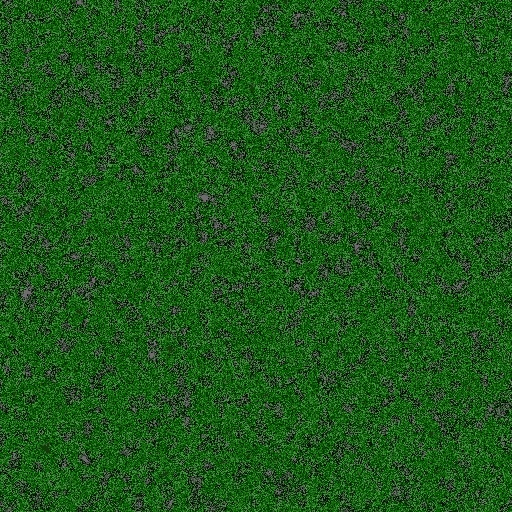 Variation 4