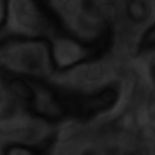 Bump Map